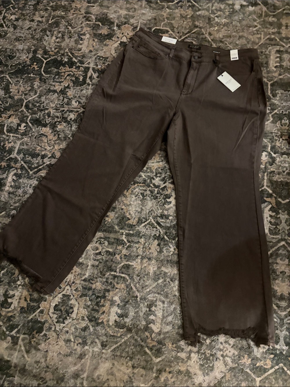 Judy Blue women’s Dark Brown Straight-Leg denim jeans sz 24w NEW NWT